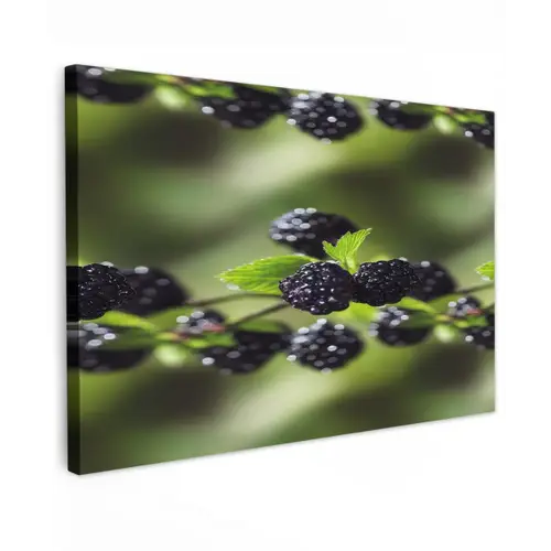 Bramen - Bladeren - Tros Tuinposter op houten frame 2 cm dik klein 845 -3d