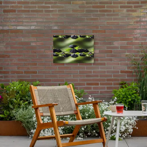 Bramen - Bladeren - Tros Tuinposter op houten frame 2 cm dik klein 845 -sfeer3