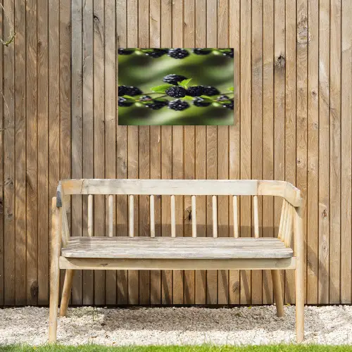 Bramen - Bladeren - Tros Tuinposter op houten frame 2 cm dik klein 845 -sfeer4