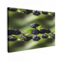 Bramen - Bladeren - Tros Tuinposter op houten frame 2 cm dik klein 845 -3d