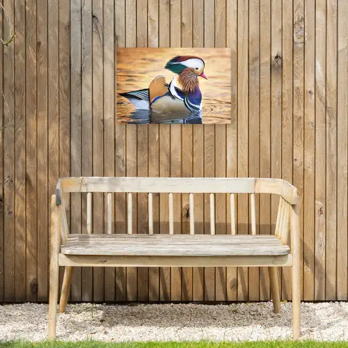 Close-up mandarijneend Tuinposter op houten frame 2 cm dik klein -sfeer4