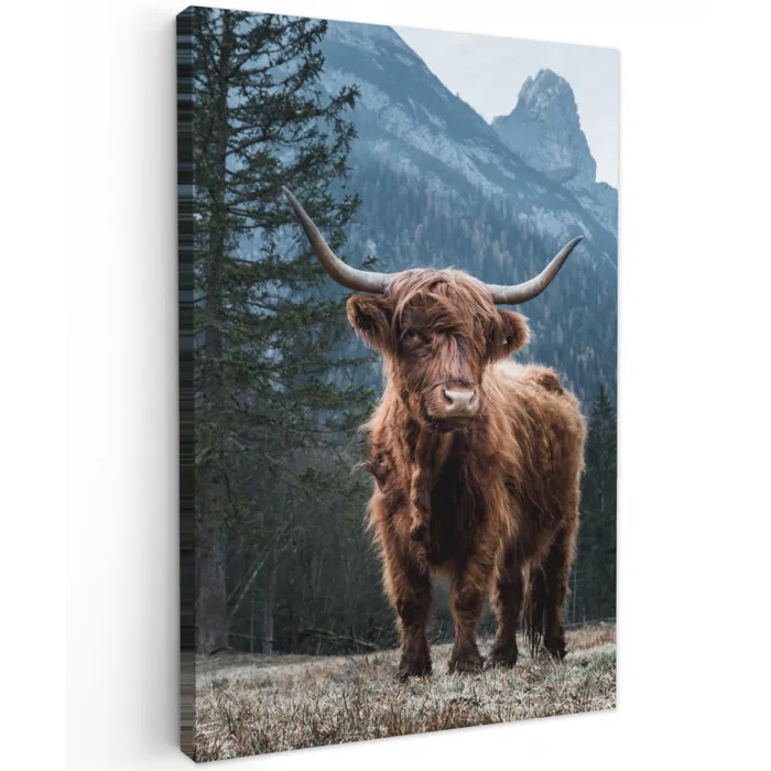 Hooglander voor Bergen Tuinposter op houten frame 2 cm dik klein -3d