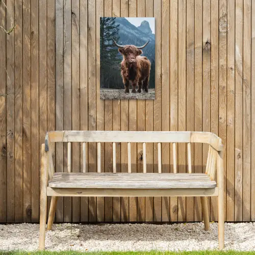 Hooglander voor Bergen Tuinposter op houten frame 2 cm dik klein -sfeer4