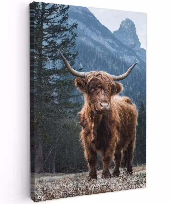 Buiten canvas - Hooglander voor Bergen