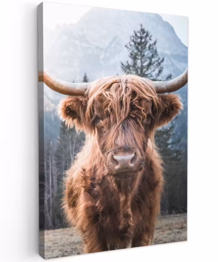 Buiten canvas - Imposante Hooglander in de Natuur