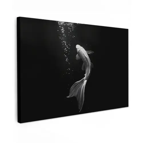 Koi - Vis - Wit - Zwart Tuinposter op houten frame 2 cm dik klein -3d