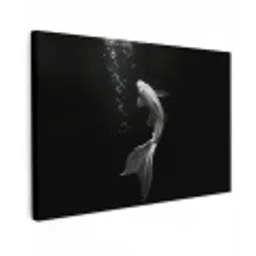 Koi - Vis - Wit - Zwart Tuinposter op houten frame 2 cm dik klein -3d