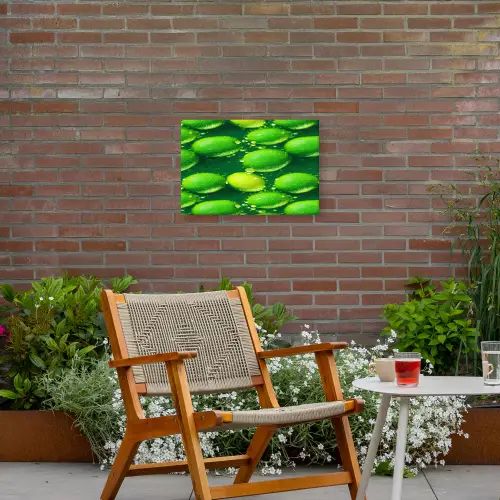 Limoen - Groen - Water Tuinposter op houten frame 2 cm dik klein 845 -sfeer3