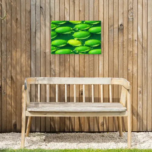 Limoen - Groen - Water Tuinposter op houten frame 2 cm dik klein 845 -sfeer4