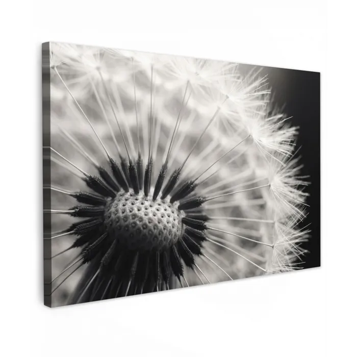 Paardenbloem - Zwart - Wit Tuinposter op houten frame 2 cm dik klein -3d
