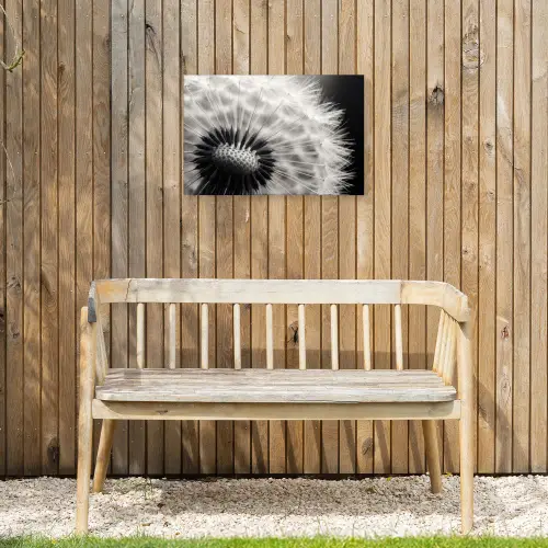 Paardenbloem - Zwart - Wit Tuinposter op houten frame 2 cm dik klein -sfeer4