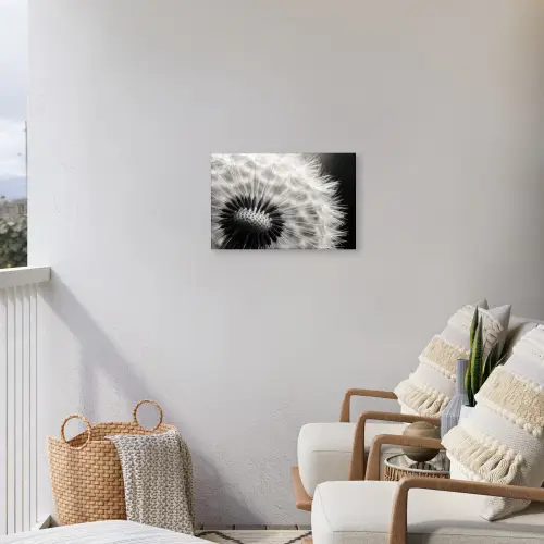 Paardenbloem - Zwart - Wit Tuinposter op houten frame 2 cm dik klein -sfeer1