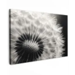Paardenbloem - Zwart - Wit Tuinposter op houten frame 2 cm dik klein -3d