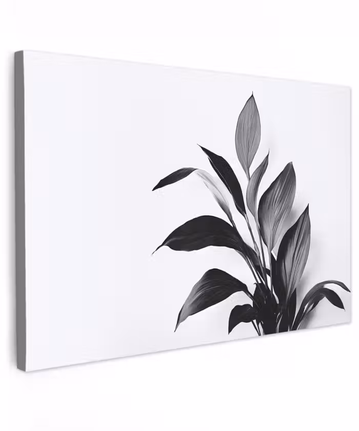 Buiten canvas - Plant - Bladeren - Minimalistisch - Zwart