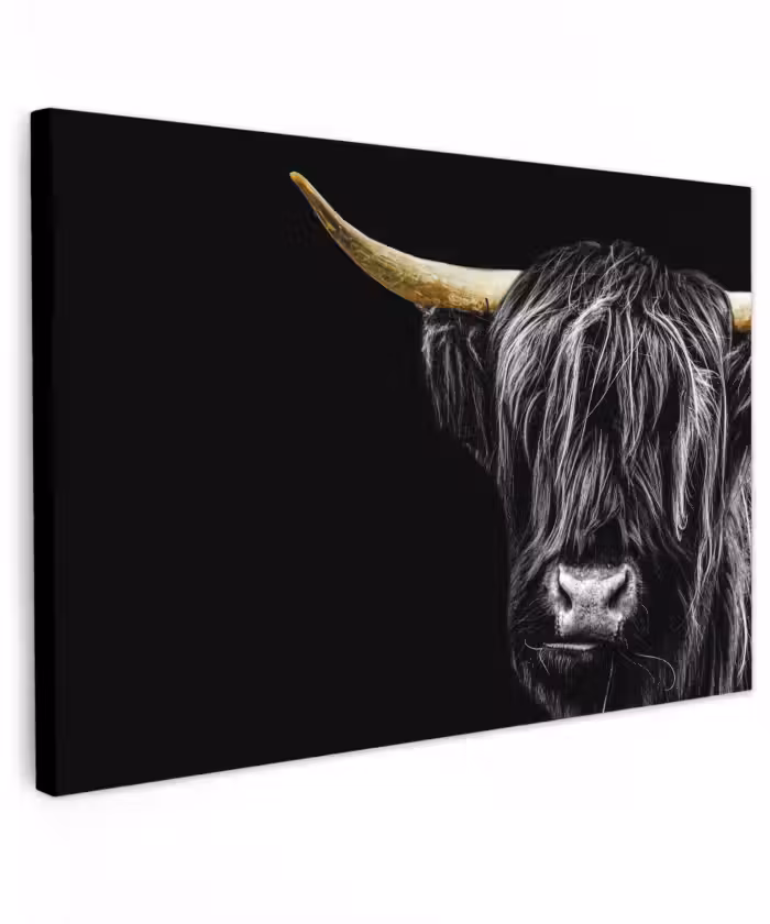 Buiten canvas - Schotse hooglander - Goud - Vacht - Dieren - Koe