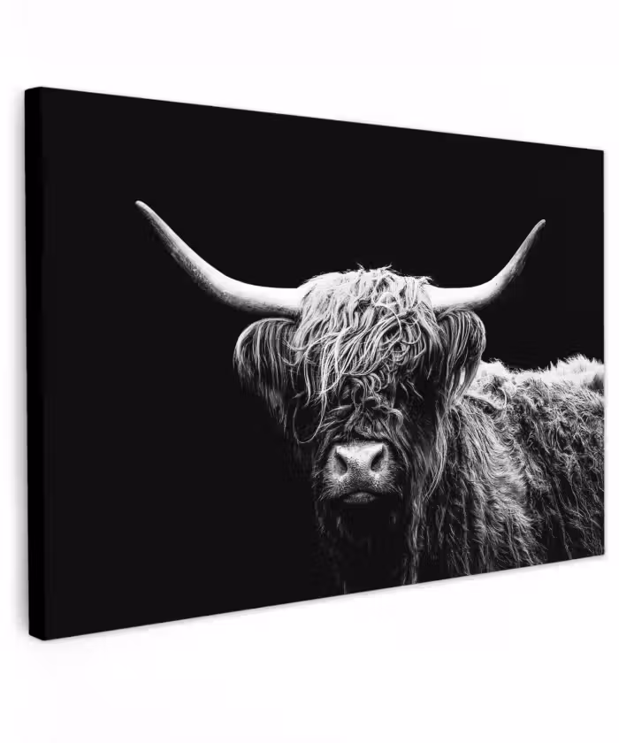 Buiten canvas - Schotse Hooglander - Koe - Zwart - Wit - Dieren