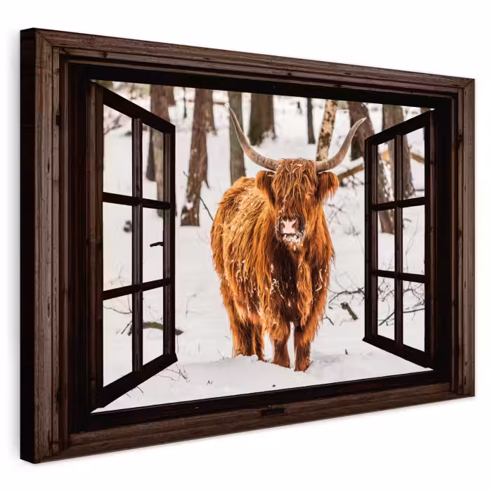 Buiten canvas - Schotse Hooglander - Sneeuw - Natuur - Dieren - Doorkijk - Winter