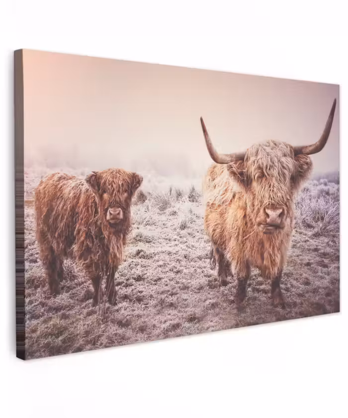 Buiten canvas - Schotse hooglanders - Licht - Lucht - Natuur