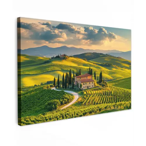 Toscane - Landschap - Wijngaarden Tuinposter op houten frame 2 cm dik klein -3d