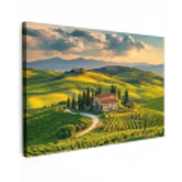 Toscane - Landschap - Wijngaarden Tuinposter op houten frame 2 cm dik klein -3d