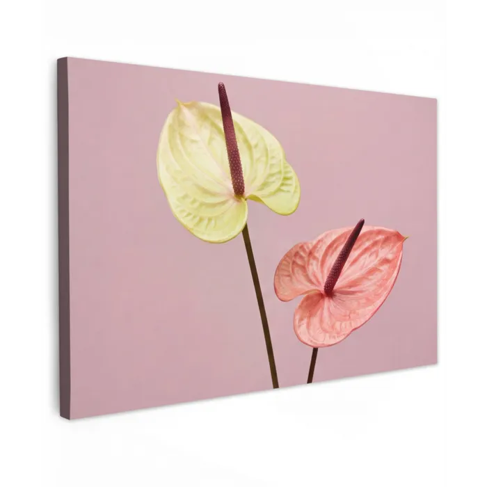 Bloemen - Anthuriums - Geel - Roze canvas 2cm klein -z3d