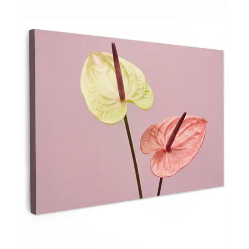 Bloemen - Anthuriums - Geel - Roze canvas 2cm klein -z3d