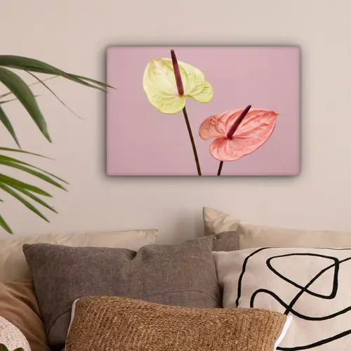 Bloemen - Anthuriums - Geel - Roze canvas 2cm klein -sfeer1