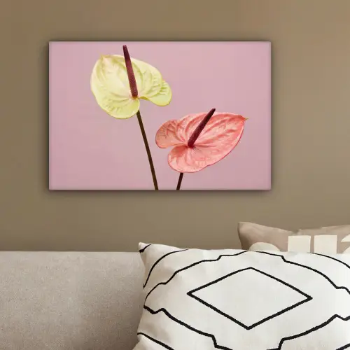 Bloemen - Anthuriums - Geel - Roze canvas 2cm klein -sfeer3