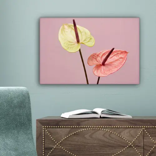 Bloemen - Anthuriums - Geel - Roze canvas 2cm klein -sfeer4