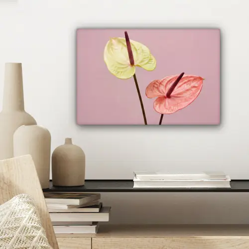 Bloemen - Anthuriums - Geel - Roze canvas 2cm klein -sfeer6