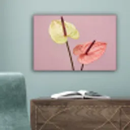 Bloemen - Anthuriums - Geel - Roze canvas 2cm klein -sfeer4