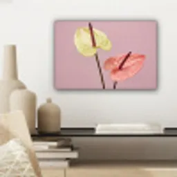 Bloemen - Anthuriums - Geel - Roze canvas 2cm klein -sfeer6