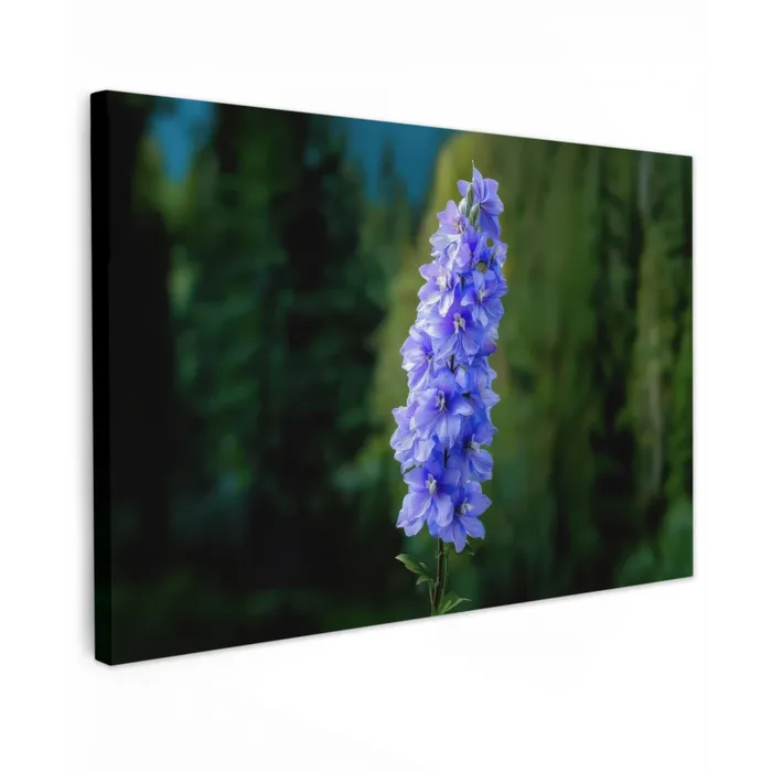 Bloemen - Blauw - Dennenboom canvas 2cm klein -z3d