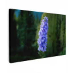 Bloemen - Blauw - Dennenboom canvas 2cm klein -z3d