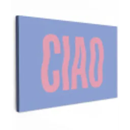 Ciao - Roze - Blauw - Golvend canvas 2cm klein -z3d