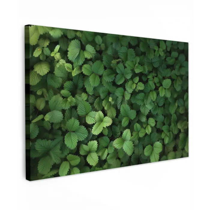 Groen - Bladeren - Kartel - Zonlicht canvas 2cm klein -z3d
