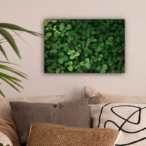 Groen - Bladeren - Kartel - Zonlicht canvas 2cm klein -sfeer1
