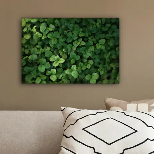 Groen - Bladeren - Kartel - Zonlicht canvas 2cm klein -sfeer3