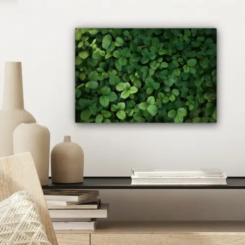 Groen - Bladeren - Kartel - Zonlicht canvas 2cm klein -sfeer6