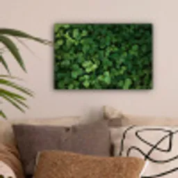 Groen - Bladeren - Kartel - Zonlicht canvas 2cm klein -sfeer1