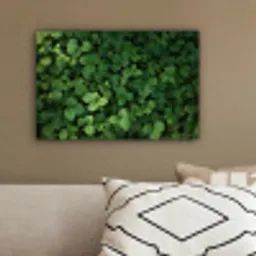 Groen - Bladeren - Kartel - Zonlicht canvas 2cm klein -sfeer3