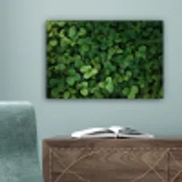 Groen - Bladeren - Kartel - Zonlicht canvas 2cm klein -sfeer4