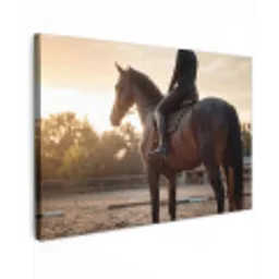 Harmonie - Ruiter - Zon canvas 2cm klein -z3d