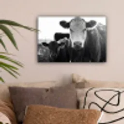 Koeien - Zwart - Wit canvas 2cm klein -sfeer1
