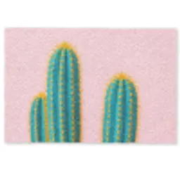 Cactussen - Modern - Pastel Deurmat klein -zkaufland3d