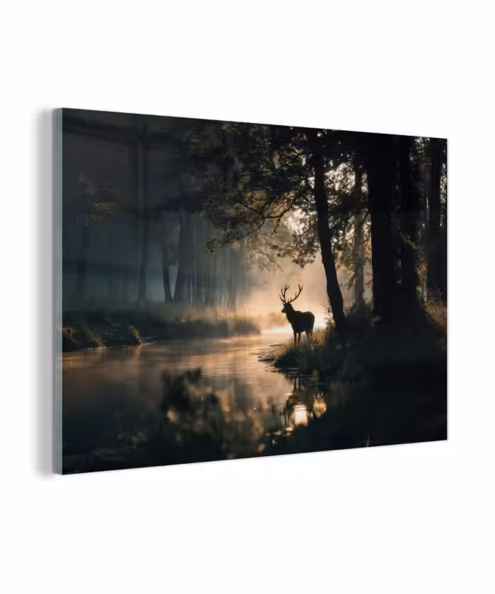 Glas schilderij - Hert - Bosbeek - Mystiek