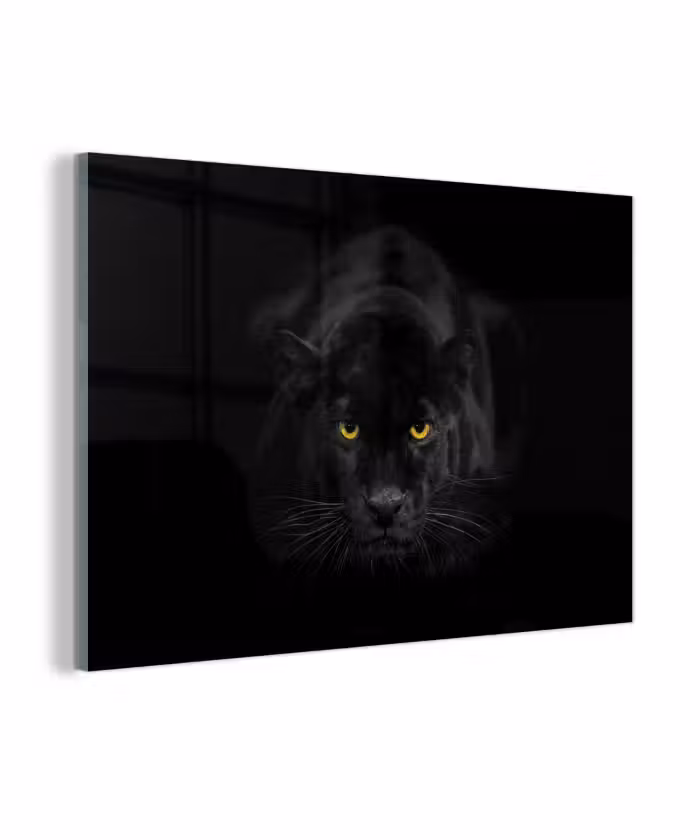 Glas schilderij - Panter - Dieren - Zwart - Ogen