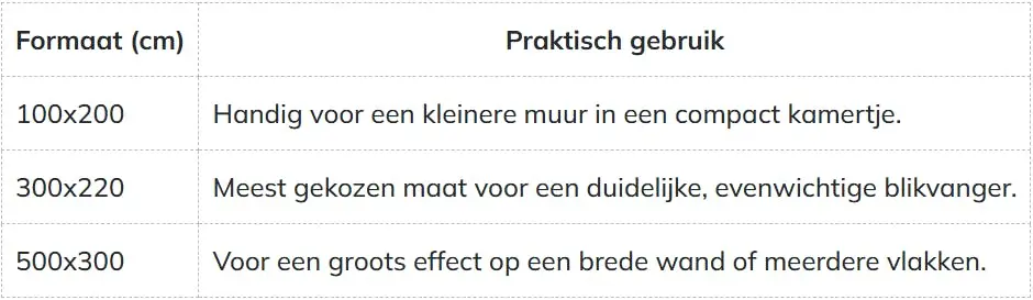 Tabel met formaten en adviezen