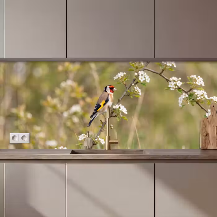 Keuken achterwand - Putter - Bloesem - Lente - Natuur - Kleurrijk