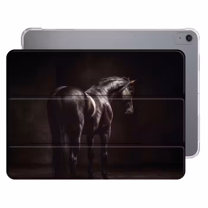 Krachtig - Paard - Donker